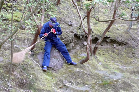 Bildleiste Hotei Japan Reisen