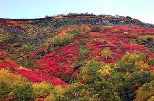 Bildleiste 1 Große Hokkaido-Rundreise