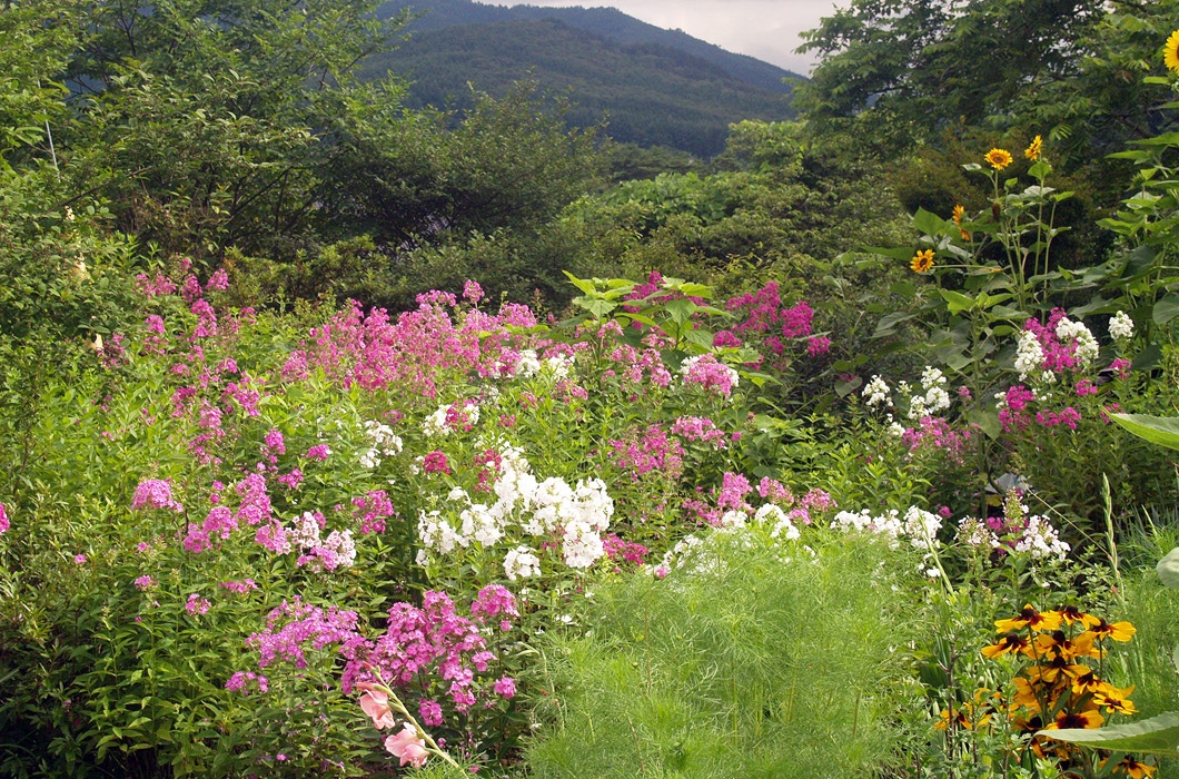 Bildleiste 3 Große Hokkaido-Rundreise