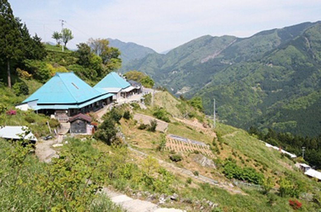 Bildleiste 1 Urig – wildes Shikoku