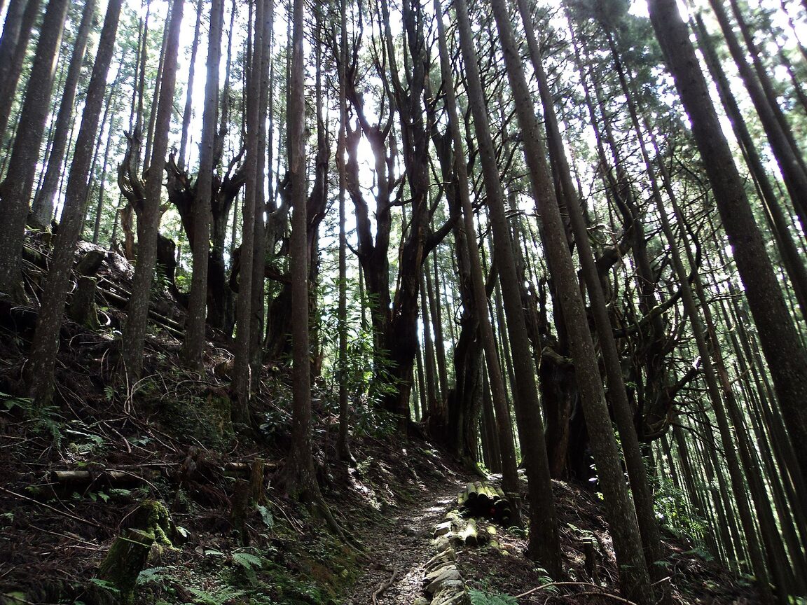 Kumano-Kodo-Pilgerpfad, Kii-Halbinsel