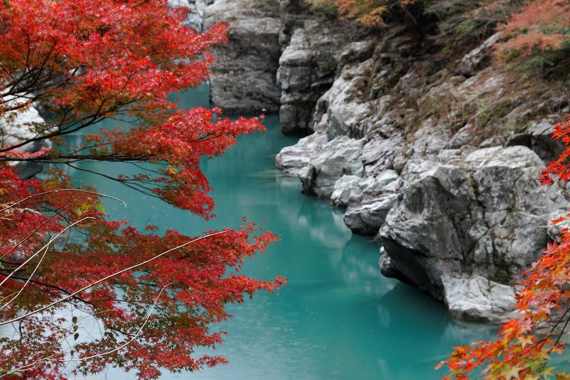 Iya-Tal, Shikoku